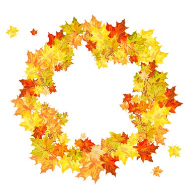 Sonbaharda akçaağaç