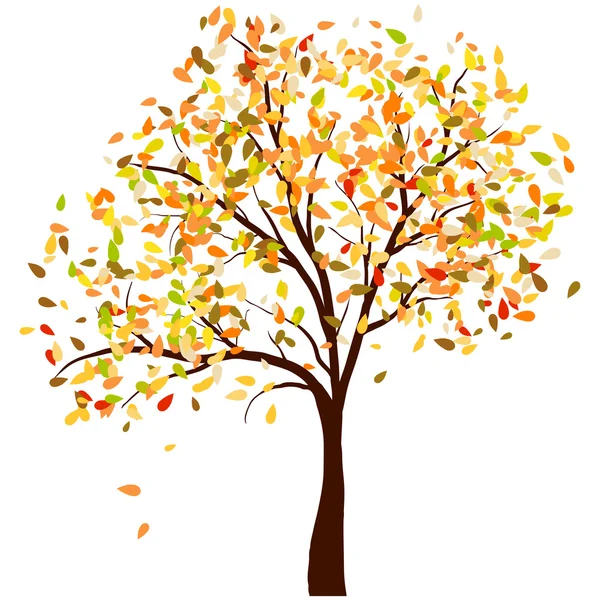 Autumn birch — Stock Vector