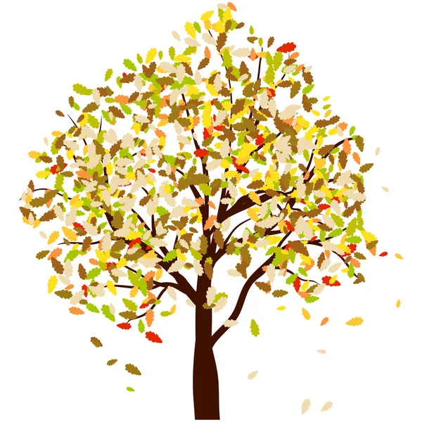 秋季橡木 — 图库矢量图片