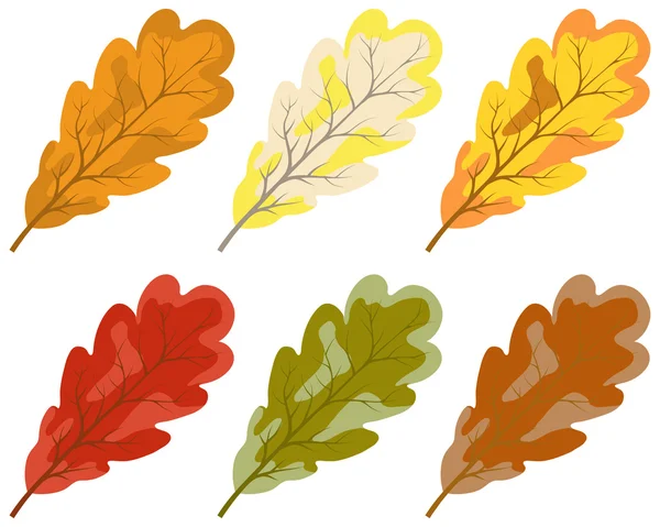 Collection of color autumn leaves — Stock Vector