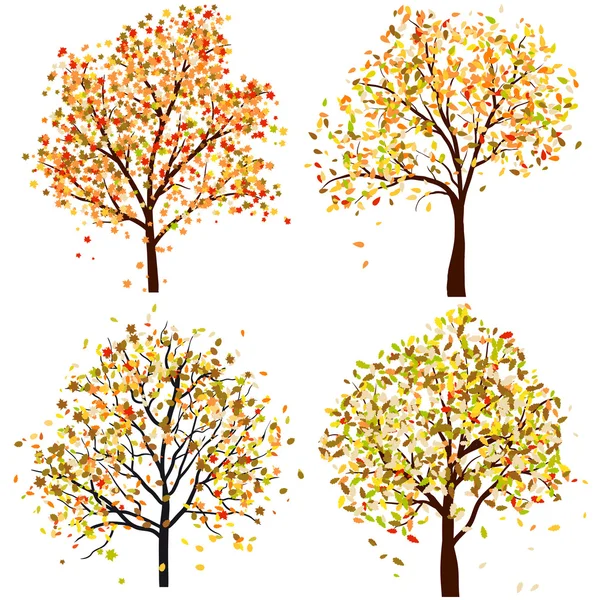 Ensemble de quatre arbres d'automne — Image vectorielle