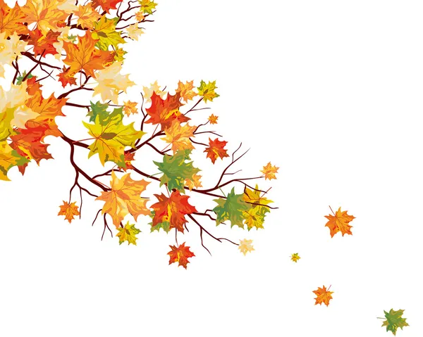 Hojas de arce de otoño — Vector de stock