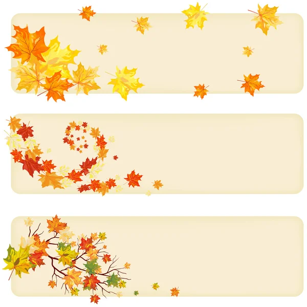 Autumn maple — Stock Vector