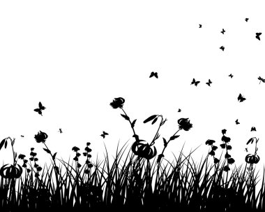 weide en vlinders