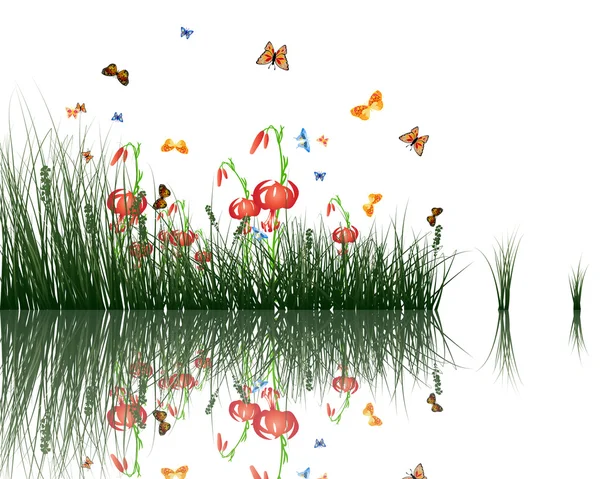 Gräs med reflektioner i vatten — Stock vektor