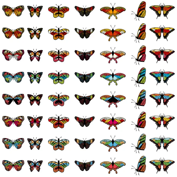 Conjunto mariposa — Vector de stock