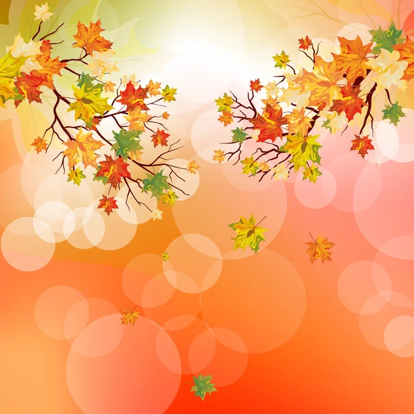 Autumn maple leaves — Stock Vector