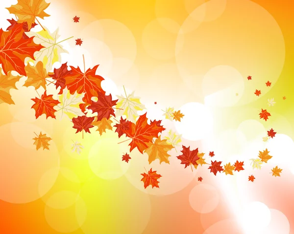 Podzimní javorové listy — Stockový vektor