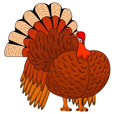 Şükran günü Türkiye