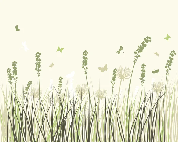 Lato łąka — Wektor stockowy
