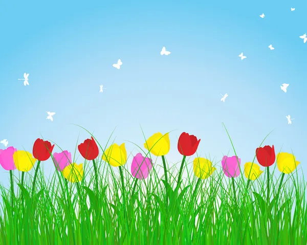 Summer meadow background with tulips — Stock Vector