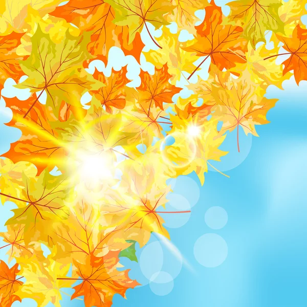 Осенний кленовый фон — стоковый вектор