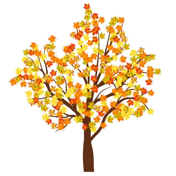 Осінь клен дерево — стоковий вектор