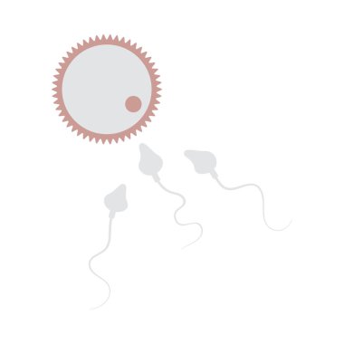 Sperm ve yumurta hücre simgesi. Düz Renk Tasarımı. Vektör İllüstrasyonu.