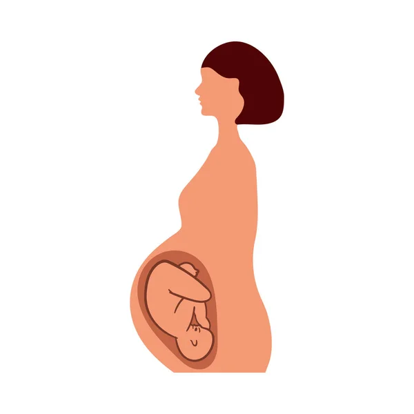 怀孕妇女与婴儿图标 平面色彩设计 病媒图解 — 图库矢量图片