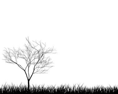 Bahar çayırı çimleri. Taze bitkiler, mevsimlik çimenler, ayrılmış botanik elementler, bitkiler. Doğal çim çalıları, çiçek sınırı. Vektör İllüstrasyonu.