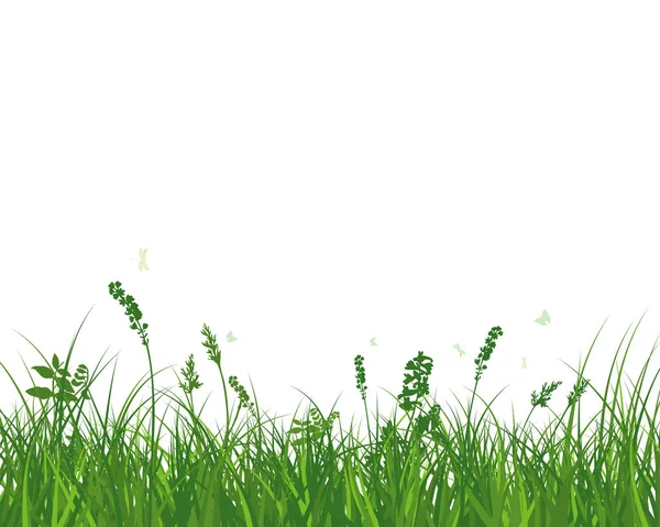 Grön Våräng Gräs Färska Färgväxter Säsongsbetonat Växtgräs Separerade Botaniska Element — Stock vektor