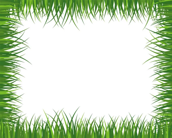 Green Spring Meadow Grass Fresh Color Plants Seasonal Growth Grass — Stock Vector