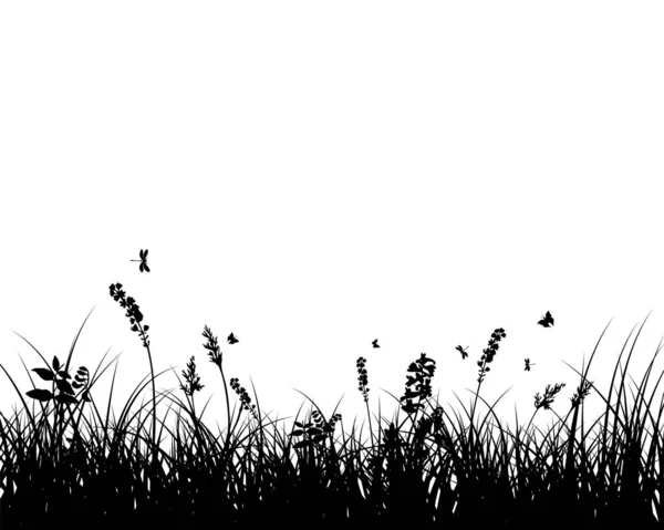 Wiosenna Łąka Świeże Rośliny Sezonowa Trawa Oddzielone Elementy Botaniczne Zioła — Wektor stockowy