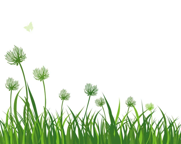Grama Prado Primavera Verde Plantas Cor Fresca Grama Crescimento Sazonal —  Vetores de Stock