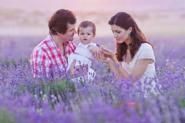 Счастливая семья веселится на лавандовом поле — стоковое фото