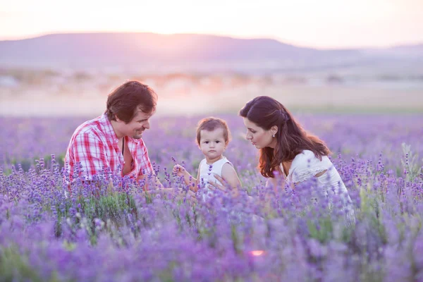 Gelukkig familie hebben plezier in lavendel veld — Stockfoto