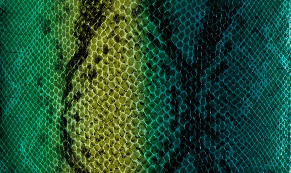 Snake skin background — Stock Photo, Image