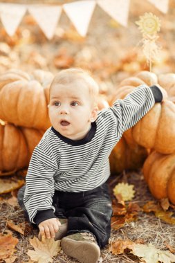 günbatımı üzerinde pumpkins ile mutlu bir çocuk