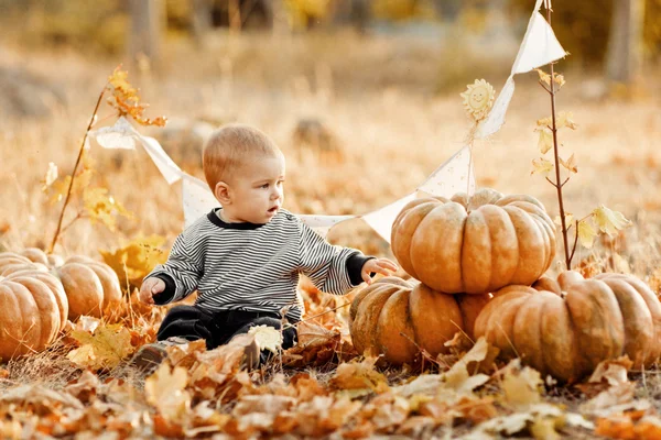 Niño feliz con calabazas al atardecer —  Fotos de Stock