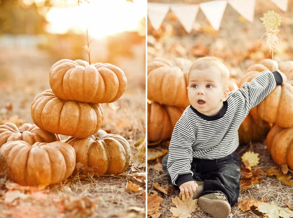 Happy child with pumpkins on sunset — Stock Photo, Image