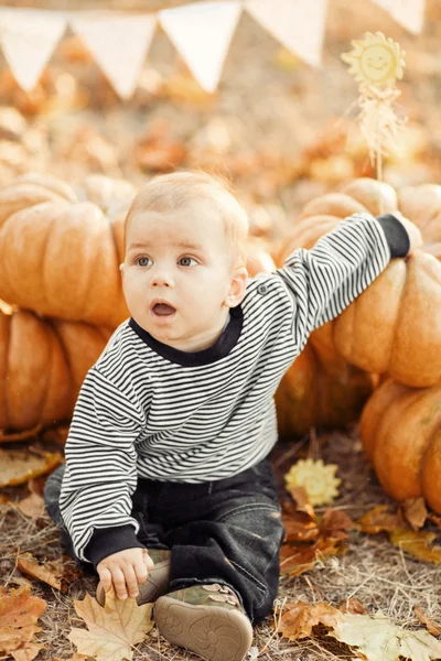 Gelukkig kind met pumpkins op zonsondergang — Stockfoto