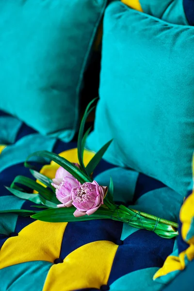 Lotus on blue sofa — Stock Photo, Image