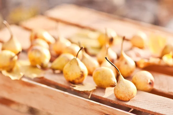 Pears on wood table closeup — Stock Photo, Image