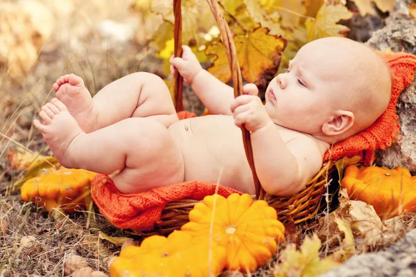 Autumn newborn baby sleeping in basket. Close up portrait. — Stock Photo, Image