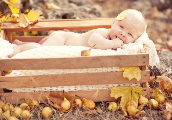 Φθινόπωρο νεογέννητο μωρό χαλαρωτικό σε ξύλινο κουτί. κοντινό πλάνο με πορτρέτο. — Φωτογραφία Αρχείου
