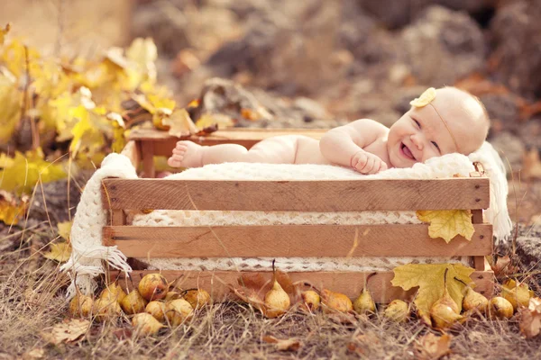 Autumn newborn baby relaxing in wooden box. Close up portrait. — Stock Photo, Image