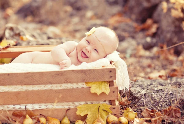 Outono bebê recém-nascido relaxando em caixa de madeira. Fechar retrato . — Fotografia de Stock