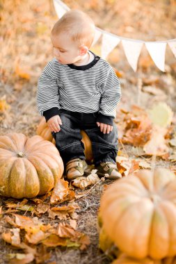 günbatımı üzerinde pumpkins ile mutlu bir çocuk