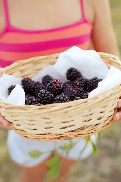 Mano de niño con canasta de moras — Foto de Stock