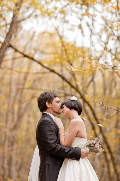 Bacio sposa e sposo nel loro giorno di nozze vicino all'albero autunnale nella foresta — Foto Stock