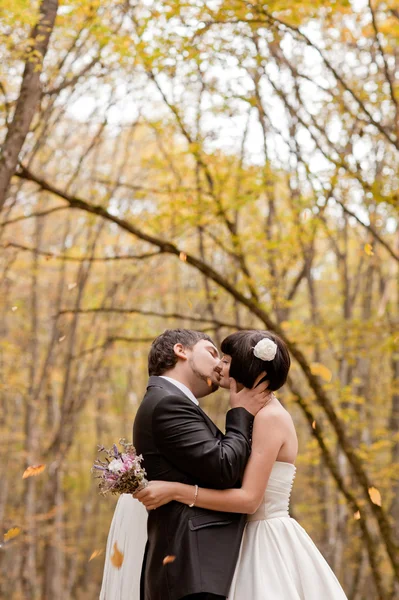 Kyssa bruden och brudgummen i deras bröllopsdag nära hösten träd i skogen — Stockfoto