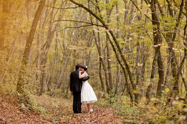 Kyssa bruden och brudgummen i deras bröllopsdag nära hösten träd i skogen — Stockfoto