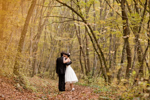 Bruid en bruidegom kussen in hun trouwdag in de buurt van herfst structuur in het forest — Stockfoto