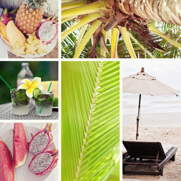 Collage de verano con frutas tropicales, puesta de sol y palma —  Fotos de Stock