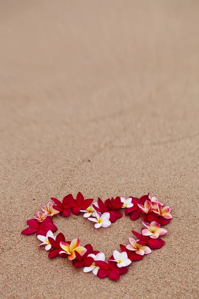 花爱标志在沙滩上 — 图库照片