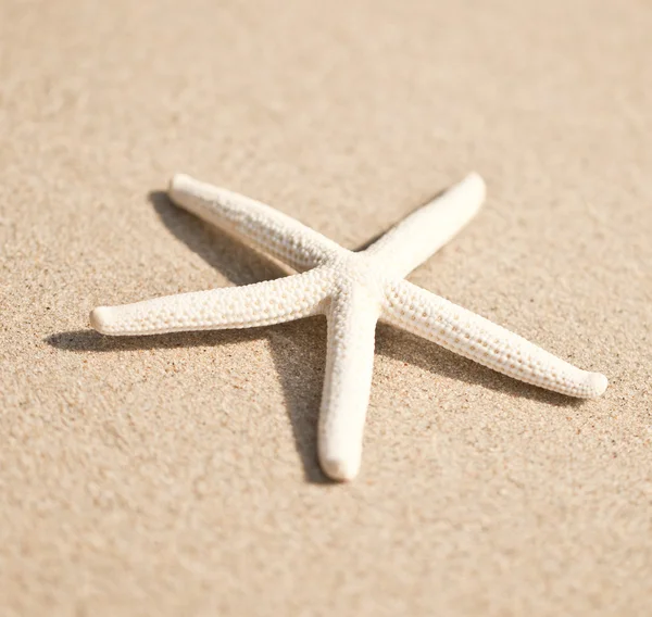 Starfish and wave on the sandy beach with copy-space on the sand — Stock Photo, Image