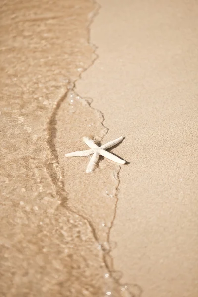 Starfish e onda na praia arenosa com espaço de cópia na areia — Fotografia de Stock