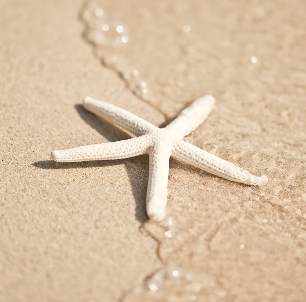 Starfish and wave on the sandy beach with copy-space on the sand — Stock Photo, Image