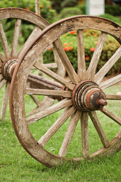 Old wood coach wheel on grass