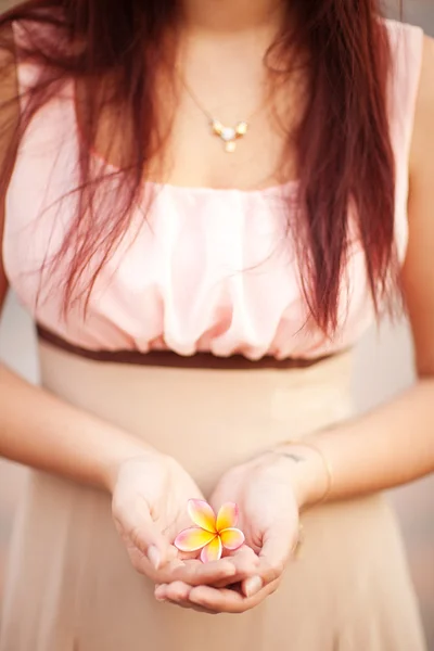 Kvinnans hand håller frangipani (plumeria rubra) — 스톡 사진